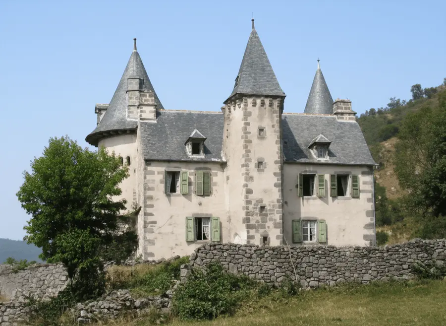 Vue du château d'époque à l'arrière